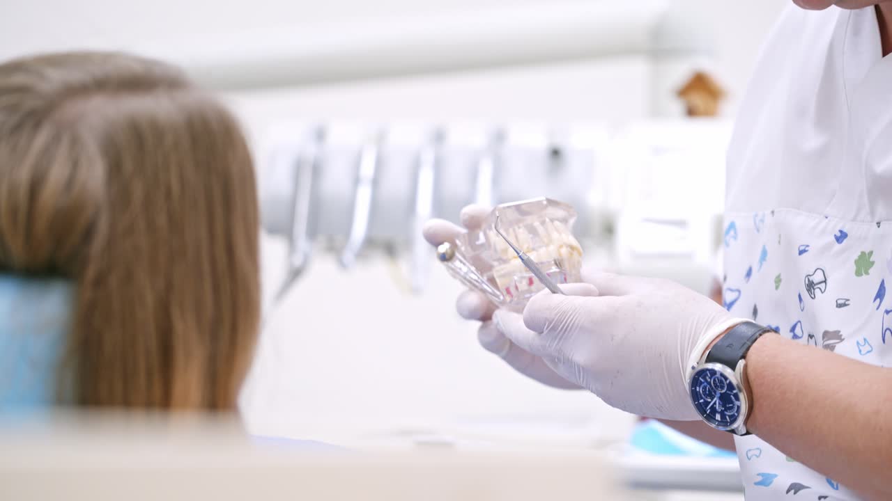 Dentist shows jaw mock to the patient. Male stomatologist holding artificial tooth in a modern dental office. Dental treatment, medical concept. Dental care.