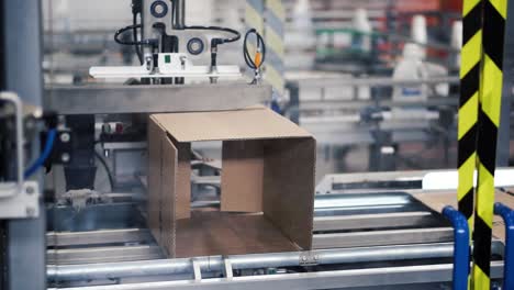 automated cardboard box production line