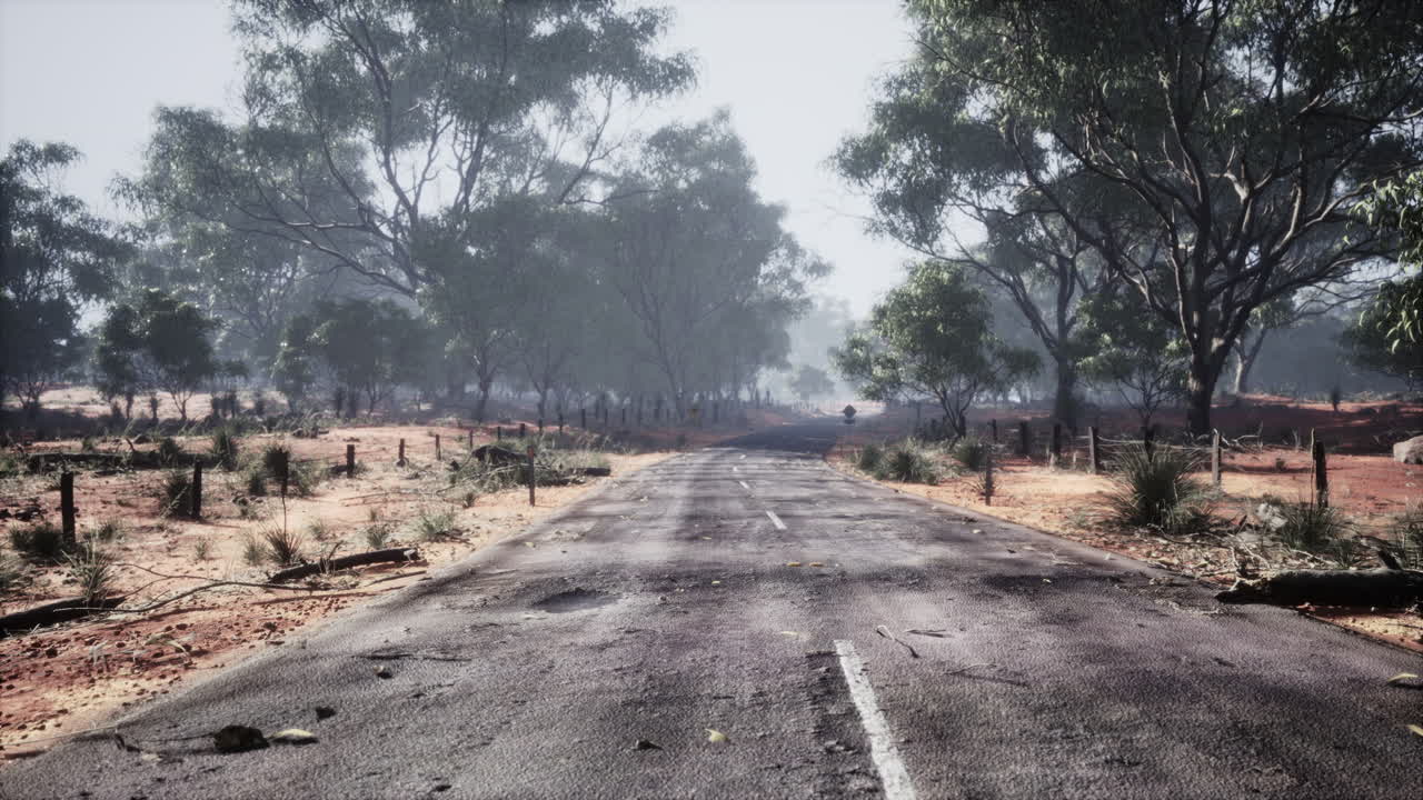 높은 숲을 따라 가는 직선 경로 표시