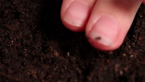 a hand plants a seed in dark, moist soil, emphasizing growth and nurturing in a close-up view