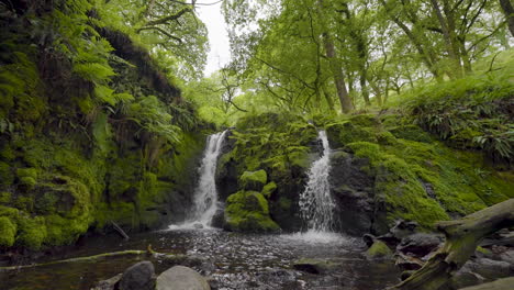 green mossy waterfall in forest