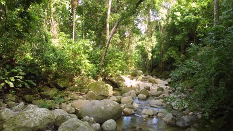 Vista-Panorámica-Volando-A-Través-Del-Bosque-Sobre-Rocas-Rocosas-Con-Un-Río-De-Bajo-Flujo