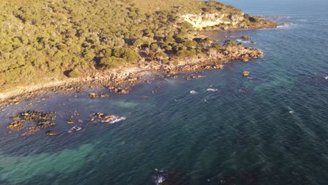 Antena-De-Drones-En-Un-Parque-Nacional-Que-Se-Desplaza-Hacia-Abajo-Para-Revelar-Un-Hermoso-Océano-Azul-Brillante