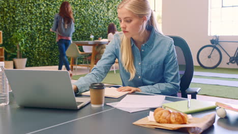 laptop, coffee shop and student studying