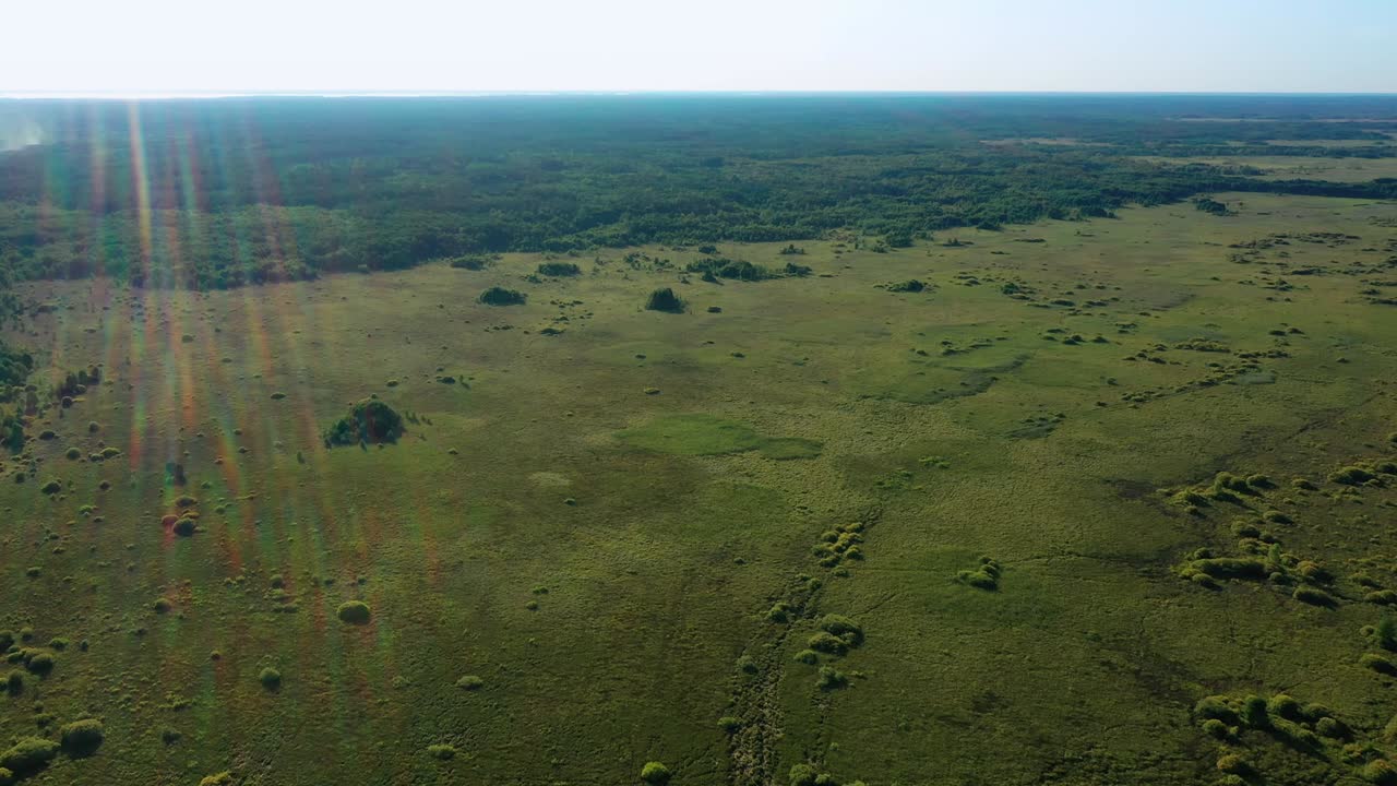 pantanos infranqueables pantanos fotografía aérea en tiempo soleado