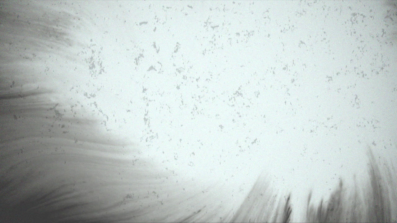 구부러진, 흐릿한 배경에서 떠다니는 흑백 물체