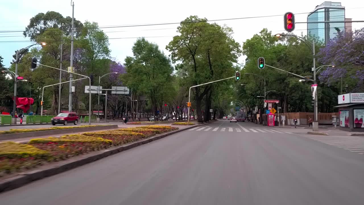 Early morning view of a quiet tree-lined street in Mexico City with light traffic and pedestrians