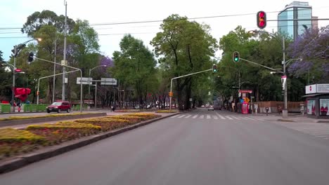 early morning view of a quiet tree-lined street in mexico city with light traffic and pedestrians