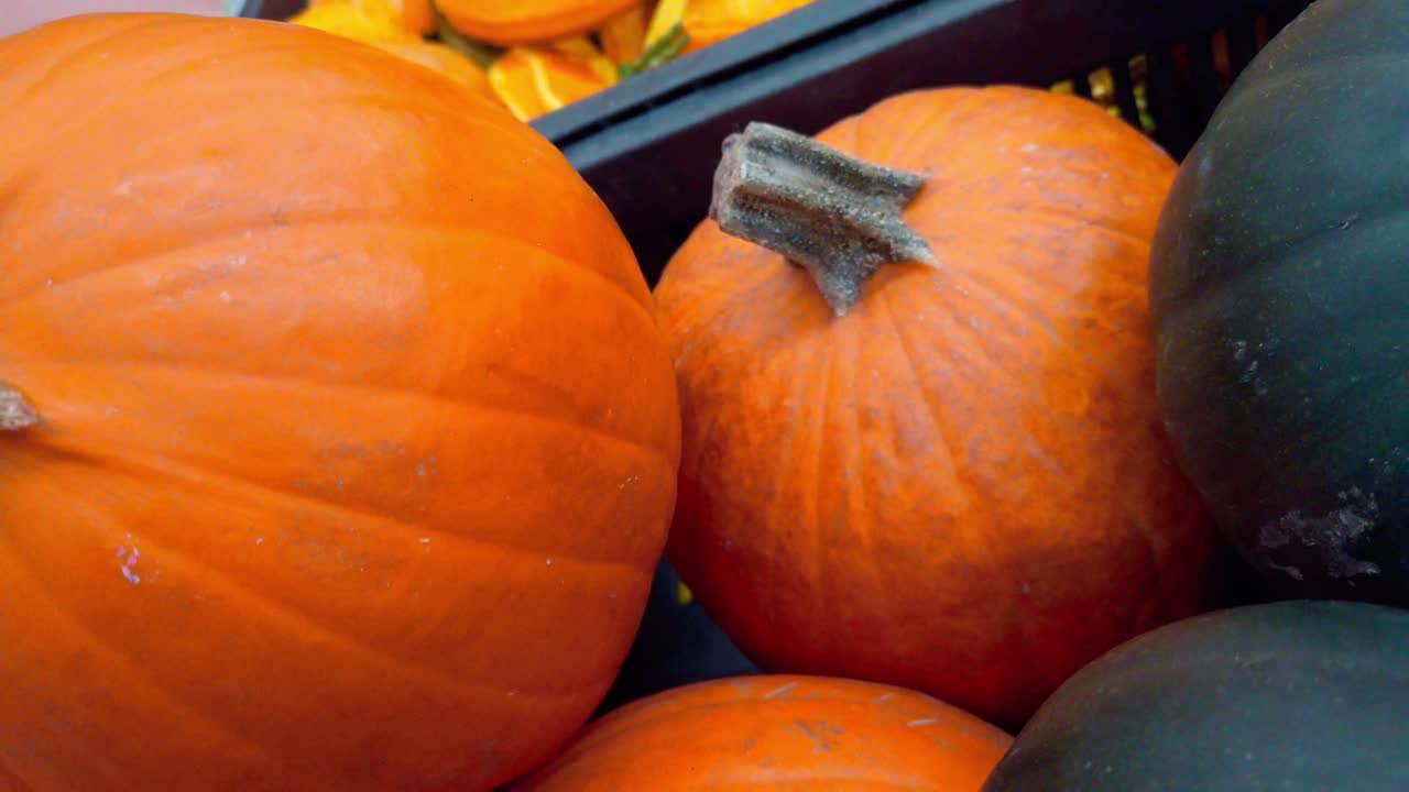 Close-up view of small orange and white pumpkins on a market stall. The camera slowly moves backward to reveal more vegetables