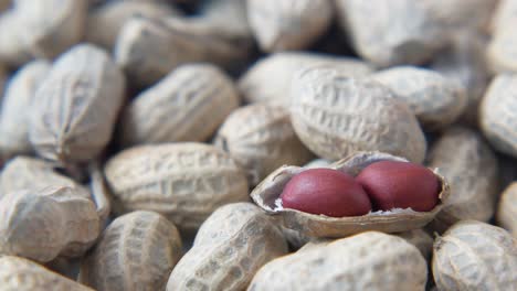 close-up of peanuts in shells