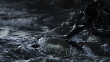 dark and moody river scene