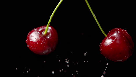 frutas de cereza en el tallo chocando y salpicando gotas de agua en un fondo negro, cámara lenta y macro
