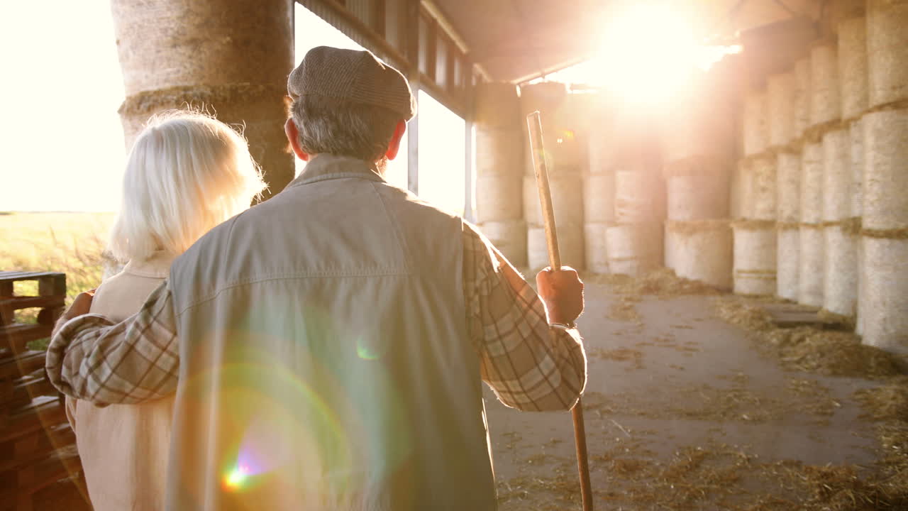 건초 주식 안정에서 걷는 백인 수석 부부의 후면보기
