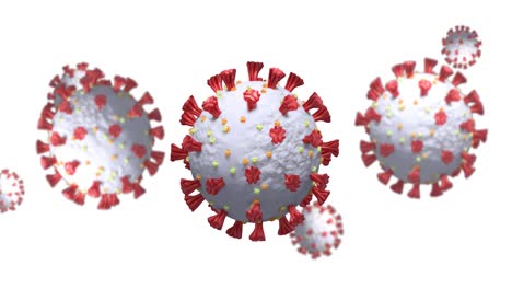 animation of covid 19 cells floating over white background