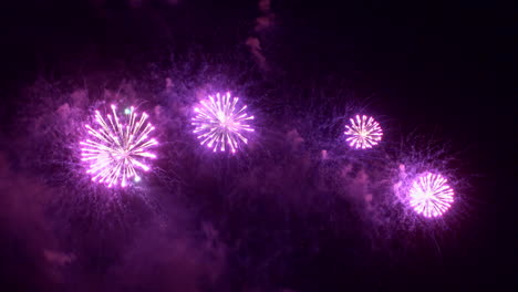 purple fireworks bust in the night sky