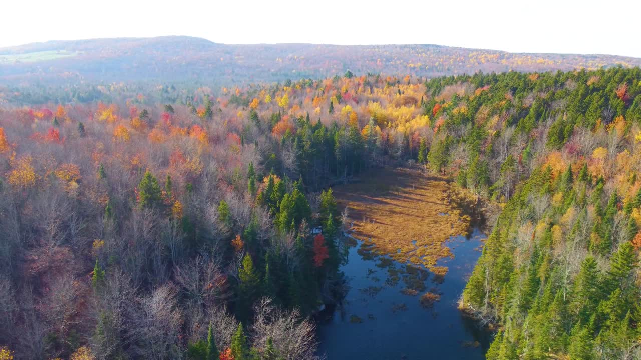 Vibrant fall forest with colorful trees and calm water in Estrie, Québec, Canada