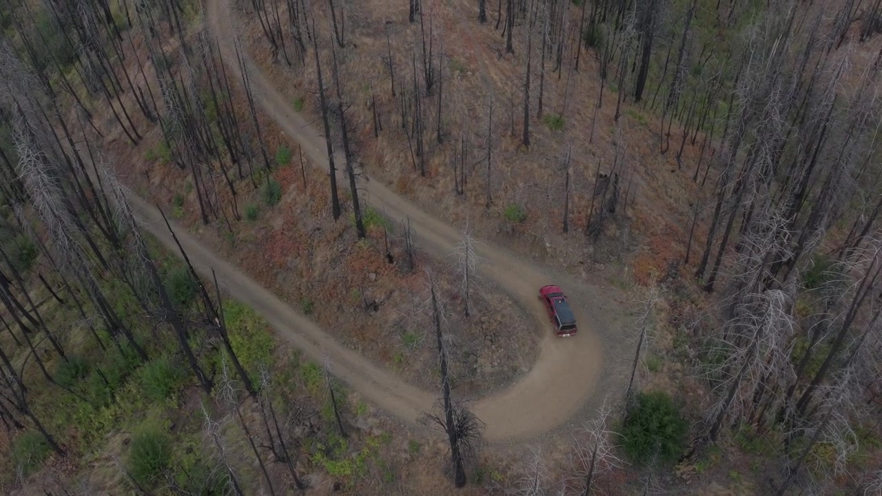 Camion che guida su una strada forestale lungo un sentiero di montagna.