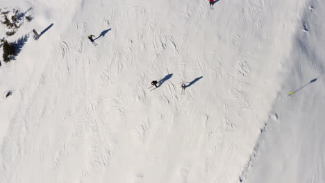 skigebiet jasná nízke tatry chopok in der slowakei