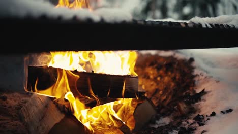 fuego en una hoguera en medio del bosque en invierno en lemmenlaakso, finlandia
