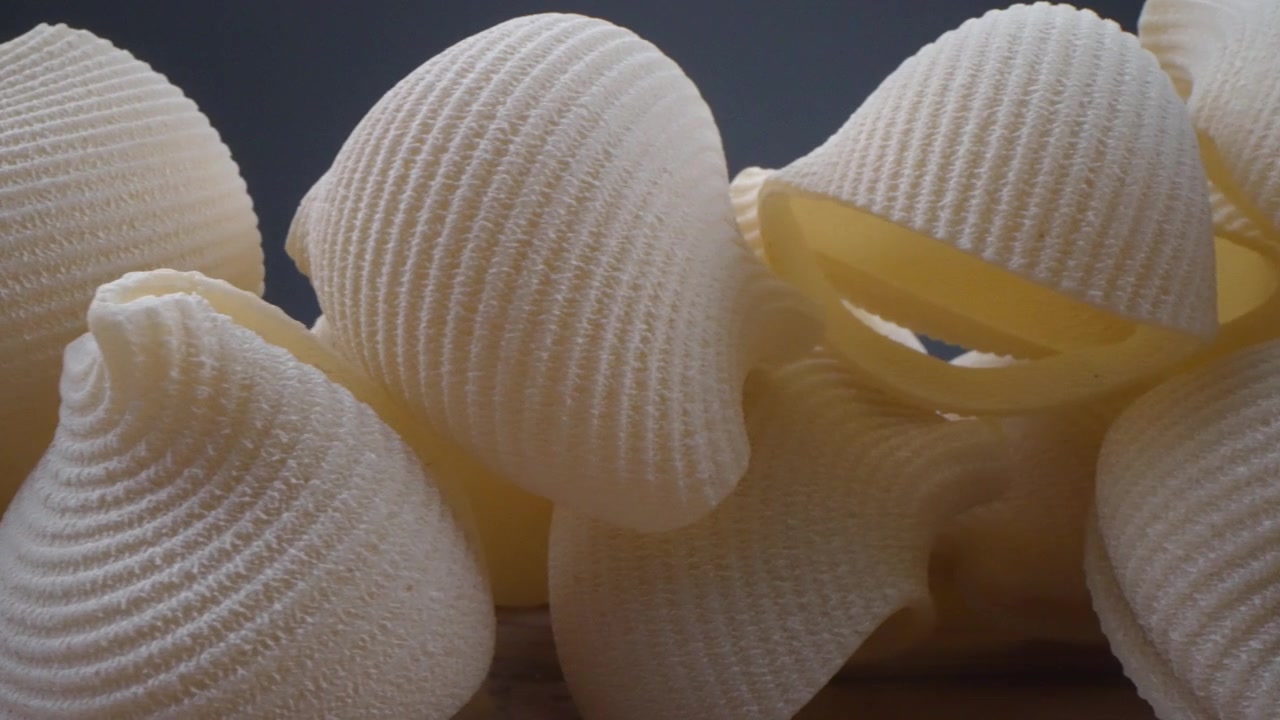 Macro Shot of Uncooked Italian Conchiglie Pasta Shells