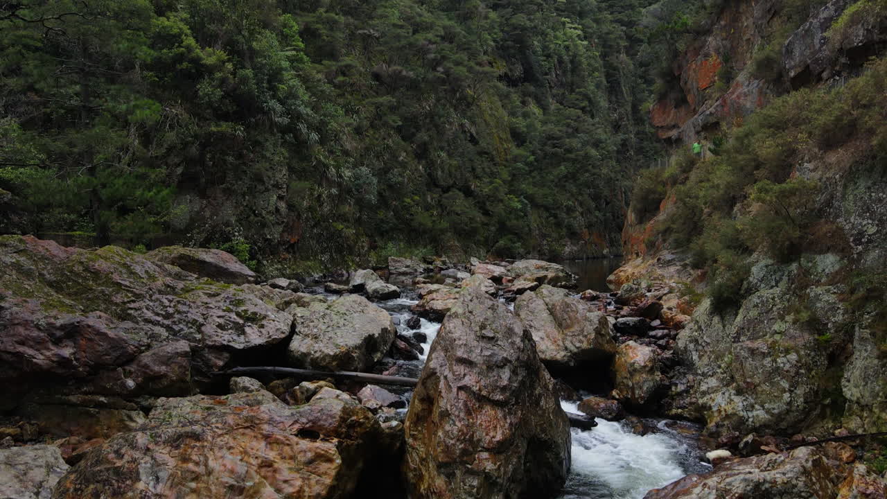 bajando el agua disparada desde el frente cayendo en cascada a través de rocas y cantos rodados en la garganta del río rocoso de la montaña de nueva zelanda