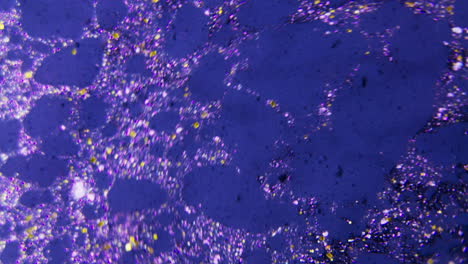 microscopic view of minerals and pigments