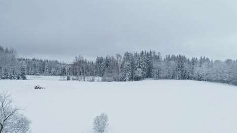 Drone-flying-over-snow-covered-forest-landscape-in-cloudy-day