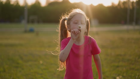 little girl in pink t-shirt blows dandelion on meadow