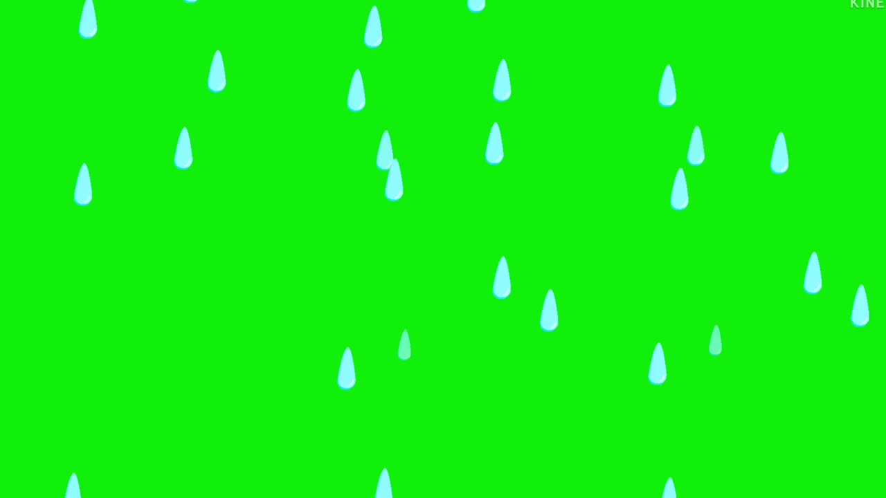 레인 그린 스크린