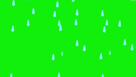 pantalla de lluvia verde