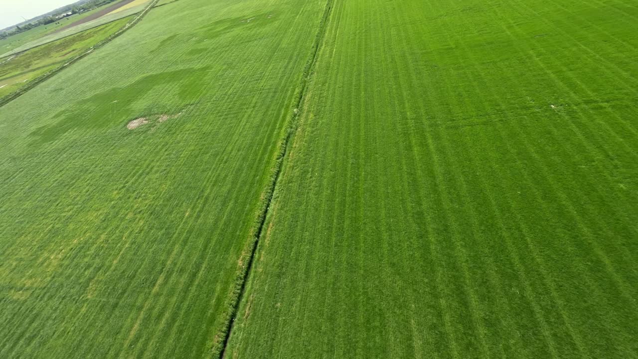 Fast dive of a drone towards a ditch between green grass farm fields