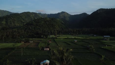 Vista-Aérea-Del-Hermoso-Paisaje-De-Amed-En-Bali-Con-Vistas-A-Las-Palmeras-Y-Los-Arrozales-Y-Las-Increíbles-Cadenas-Montañosas-Al-Fondo-Durante-Un-Emocionante-Viaje-Por-Indonesia