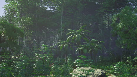 un vibrante bosque tropical lleno de varias plantas verdes y árboles altos