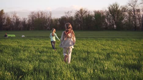 Schönes-Kinderpaar,-Das-Auf-Einer-Wiese-Läuft.-Zeitlupenaufnahme-Zweier-Kleiner-Schwestern,-Die-Wie-Ein-Vogel-Glücklich-Auf-Einer-Graswiese-Laufen.-Frei-Springen