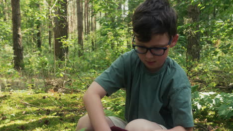 little boy in the forest