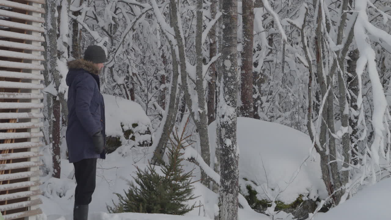 남자 는 크리스마스 후 사용 된 소나무 를 버린다