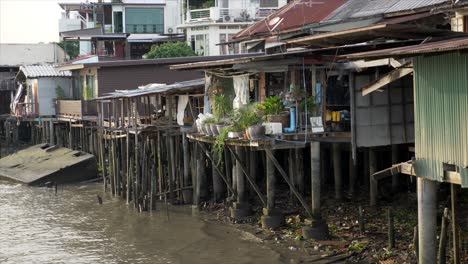 shot of stil houses on the chap phraya river. one balcony is filled with green plants.
