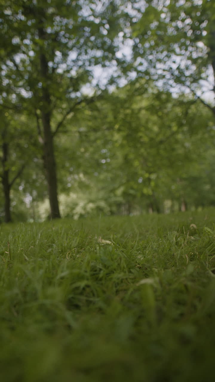 familia caminando en el parque