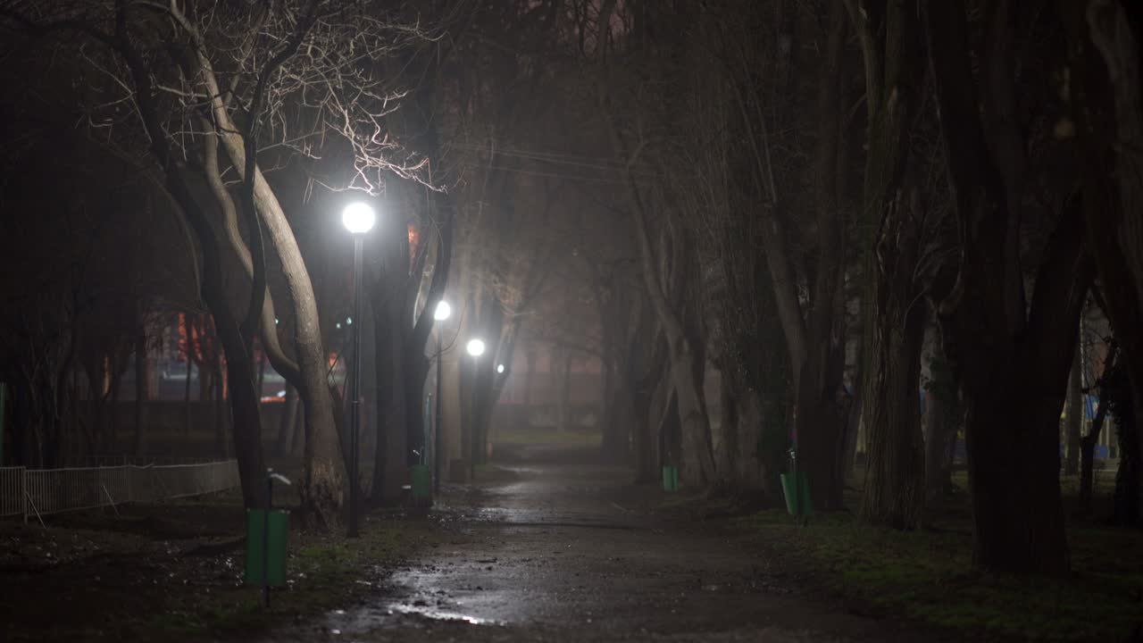 escena nocturna de la ciudad, un callejón oscuro vacío iluminado por linternas en un parque de la ciudad en una noche de otoño.