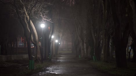 밤의 도시 장면, 빈 어두운 골목은 가을 밤에 도시의 공원에서 등불로 조명됩니다.