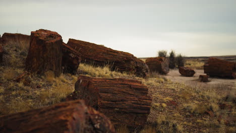 Fallen-wood-log-at-Petrified-Forest-National-Park-in-Arizona,-rack-focus-panning-shot