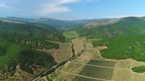 aerial view of vineyards in a mountain valley