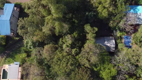 high-angle aerial drone shot of residential houses in the middle of the national park of reserva natural urbana 'rincón nazarí