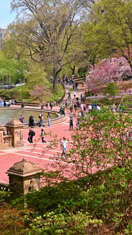 new york, usa, 8 july 2025: sunshine in central park. people relax near bethesda fountain while enjoying a beautiful sunny day in central park, new york city
