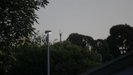 Streetlight-shining-down-on-suburban-street-below