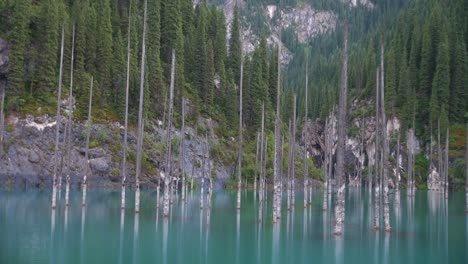 Kaindy-See-In-Kasachstan,-Auch-Als-Birkensee-Oder-Unterwasserwald-Bekannt