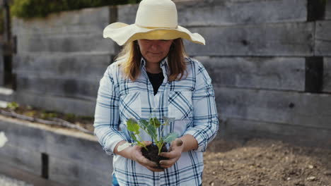 woman planting a seedling