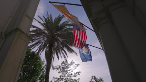looking up at flags and palm trees in the french quarter of new orleans