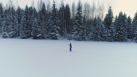 cross-country skiing along the edge of an evergreen forest in a winter wonderland - side aerial view