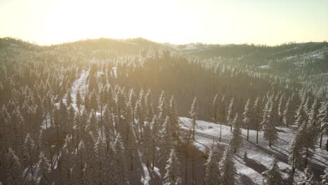 Paisaje-De-Invierno-Que-Brilla-Intensamente-Por-La-Luz-Del-Sol-En-La-Mañana